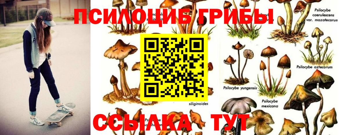 Тверь  Галлюциногенные грибы GOLDEN TEACHER  Вход с VPN  Галлюциногенные грибы Cubensis 
