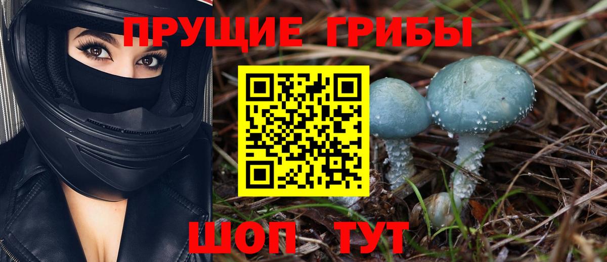 Галлюциногенные грибы Magic Shrooms Тверь